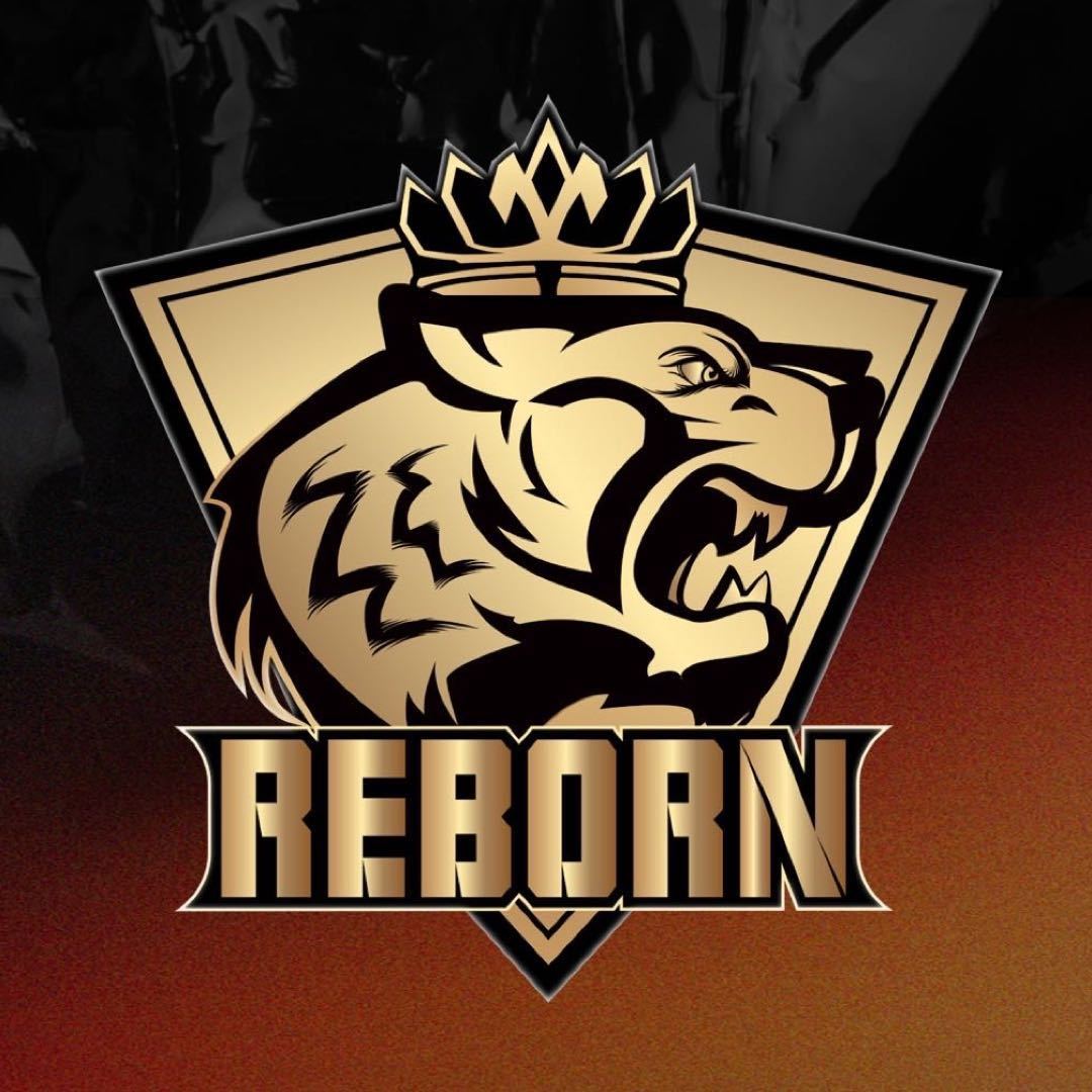 Ninjas in Pyjamas.CN